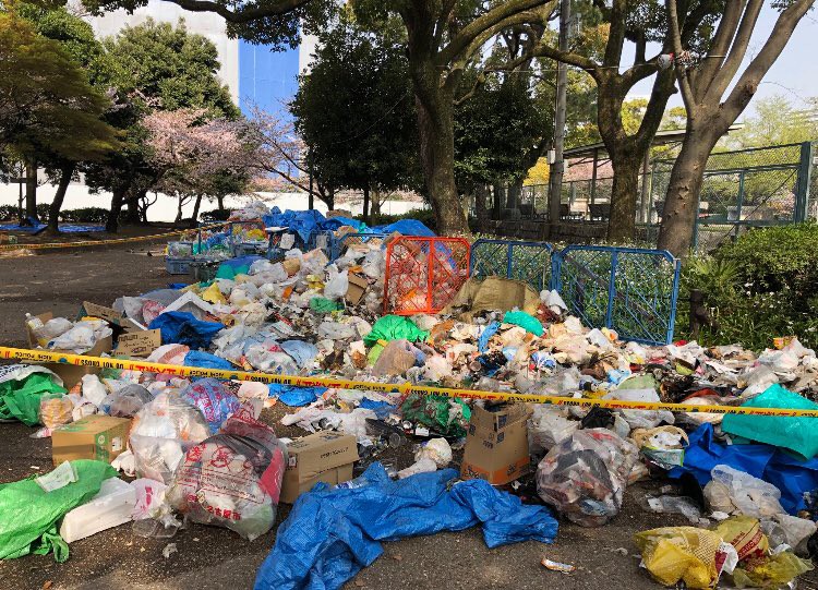 Đi ngắm hoa anh đào rồi để lại cả núi rác, đến người dân Nhật Bản cũng phải lắc đầu ngao ngán khi thấy những cảnh này